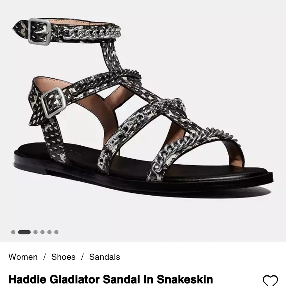 Coach Haddie Gladiator Sandal In Snakeskin